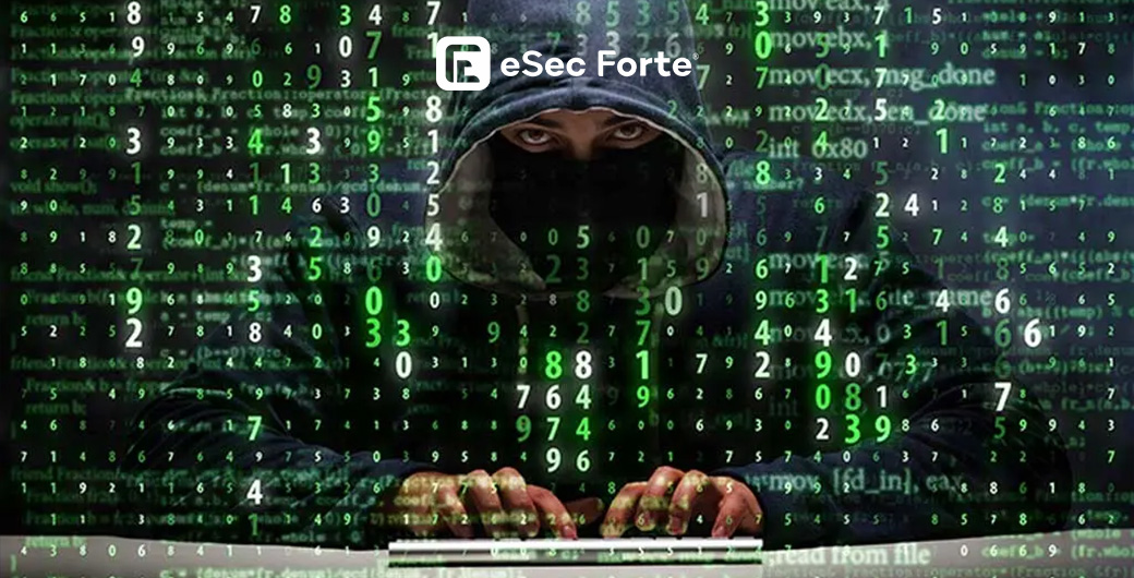 Thick Client Security for a Retail Services Firm